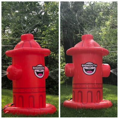 Wild and Wacky Fire Hydrant